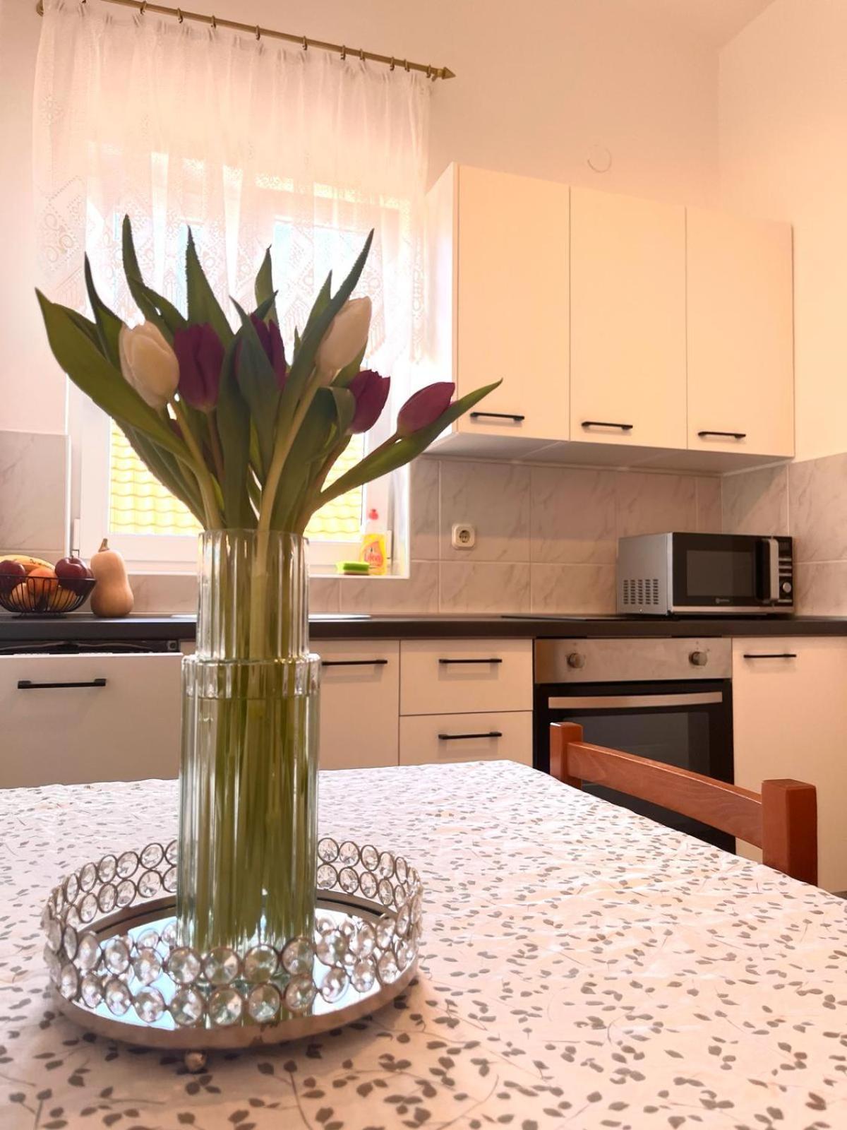Family Holiday Apartments Lucia Vodice Eksteriør billede
